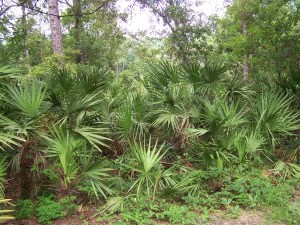 One of the views from our campsite!