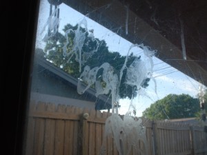 These spots would be from Leonardo jumping up & tapping his nose/mouth on the window. It's amazing he hasn't broken this window (he's broken 4 windows thus far).