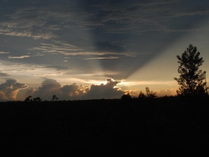 Awesome Florida sunset over Ocala National Forest.